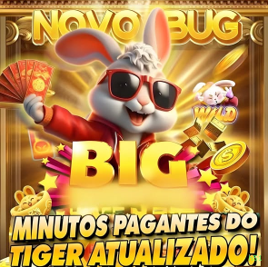 Suporte Login